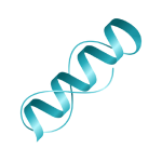 Protein Modeling
