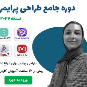 مدرس دوره جامع طراحی پرایمر