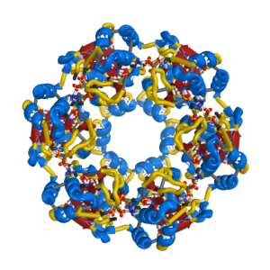Protein structure Vanyar Bioinformatics Group