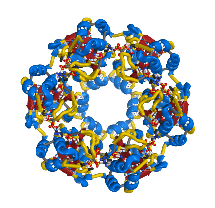 Protein structure Vanyar Bioinformatics Group