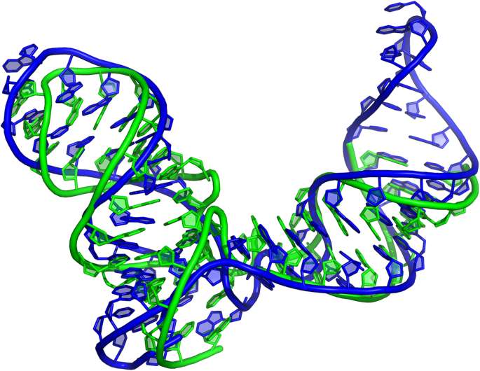 Nucleic acid Vanyar Bioinformatics Group