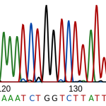 Sanger Vanyar Bioinformatics Group