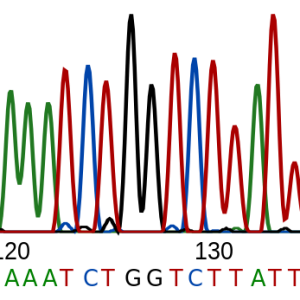 Sanger Vanyar Bioinformatics Group