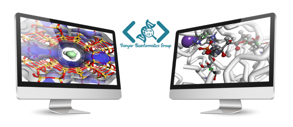 Simulation Vanyar Bioinformatics Group
