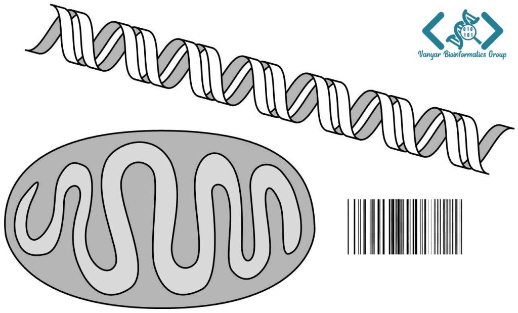 DNA barcoding روشی برای شناسایی ارگانیسم ها