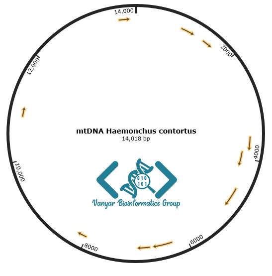 mtDNA Haemonchus contortus Map