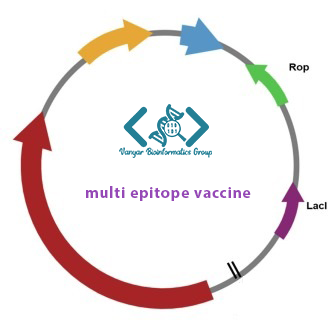 multi epitope vaccine یک واکسن طراحی شده مالتی اپی توپ
