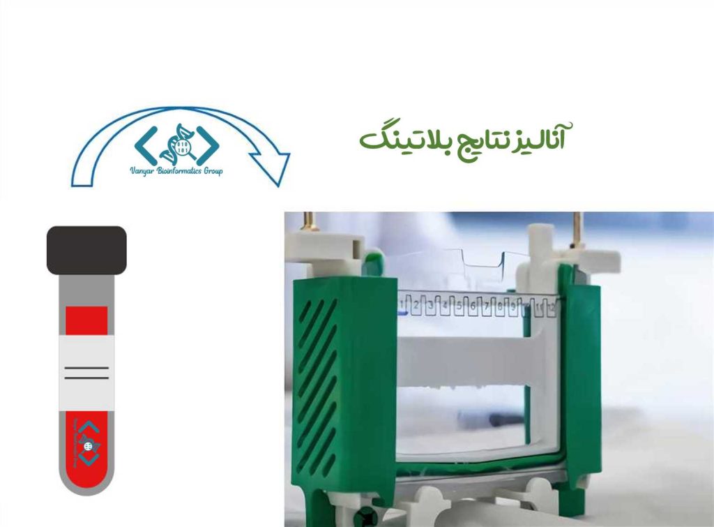تکنیک بلاتینگ