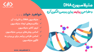 این تصویر، تصویر شاخص برای محتوای طراحی پرایمر برای بررسی الگوی متیلاسیون DNA است.