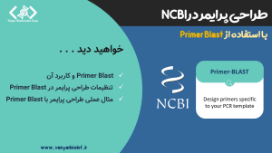 تصویر شاخص برای محتوای طراحی پرایمر با Primer BLAST از NCBI