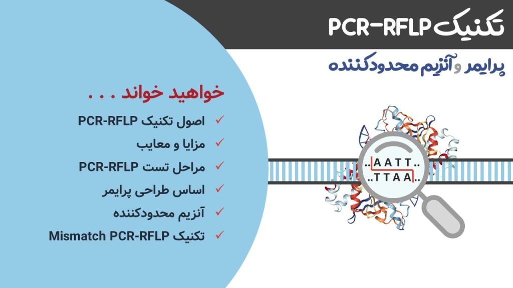 تصویر شاخص برای محتوای PCR-RFLP، طراحی پرایمر برای آن و شناسایی آنزیم محدودکننده مناسب