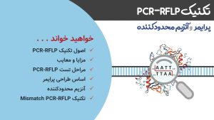 تصویر شاخص برای محتوای PCR-RFLP، طراحی پرایمر برای آن و شناسایی آنزیم محدودکننده مناسب