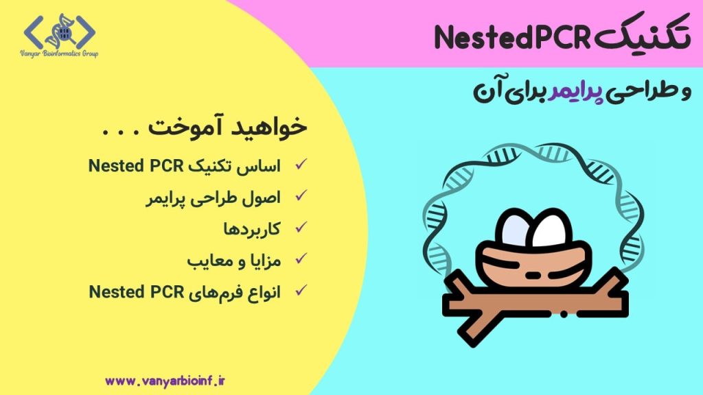 تصویر شاخص برای محتوای Nested PCR و طراحی پرایمر برای آن