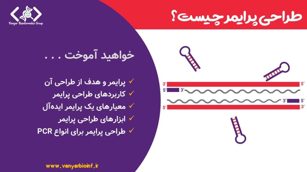 تصویر شاخص برای محتوای طراحی پرایمر چیست؟