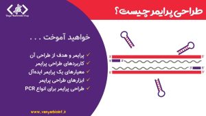 تصویر شاخص برای محتوای طراحی پرایمر چیست؟