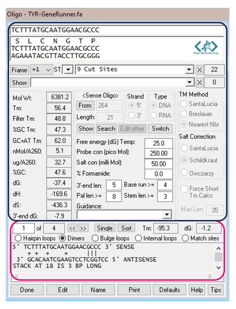 تجزیه و تحلیل خصوصیات پرایمر‌ها در پنجره Oligo Analysis از Gene Runner