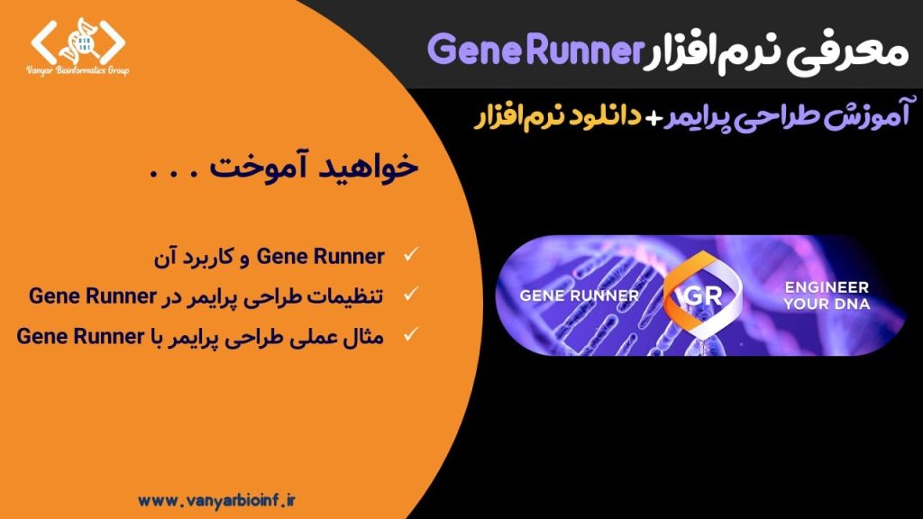 پوستر محتوای طراحی پرایمر با نرم‌افزار Gene Runner