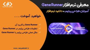 پوستر محتوای طراحی پرایمر با نرم‌افزار Gene Runner