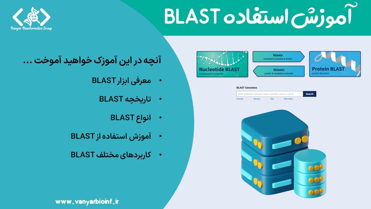 BLAST چیست؟ معرفی و آموزش BLAST | گروه بیوانفورماتیک وانیار