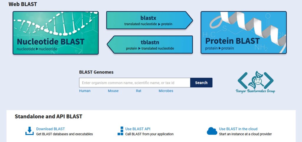 انواع BLAST