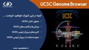 آموزک UCSC Genome Browser