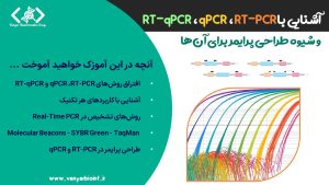 شرح تکنیک‌های RT-PCR و qPCR و RT-qPCR