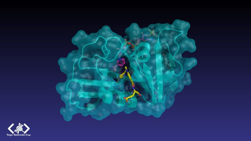 نمایی از نرمافزار PyMOL