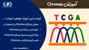 کروماس