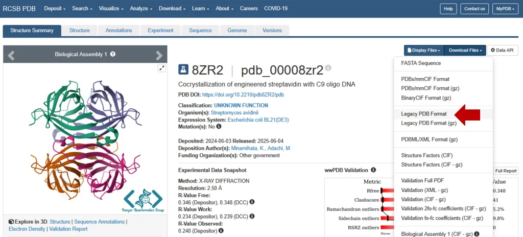 نتیجه جستجو در PDB