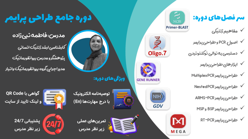بوت‌کمپ طراحی پرایمر