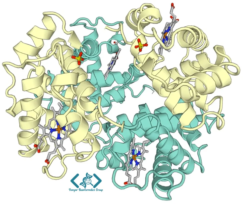 Protein Quaternary Structure