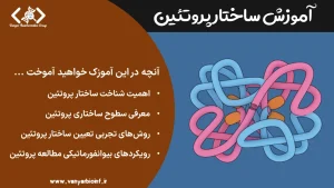 آموزش Protein Structure
