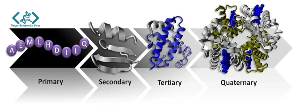 protein structure