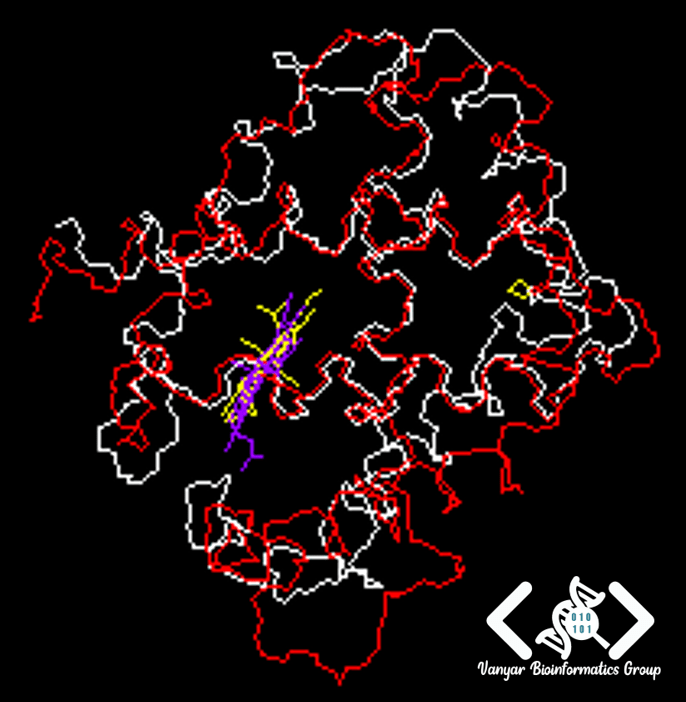 همترازی توالی با Swiss PDB Viewer