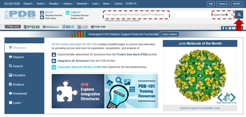 جستجو در PDB