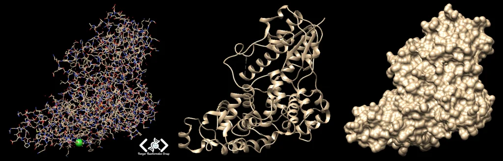 روش‌های تجسم ساختار در UCSF Chimera