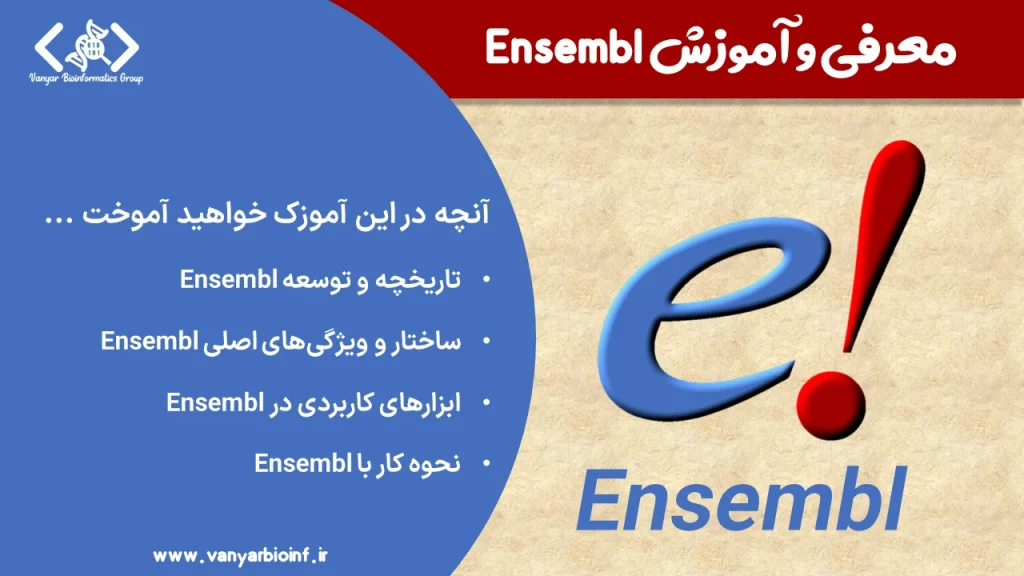 آموزش ENSEMBL