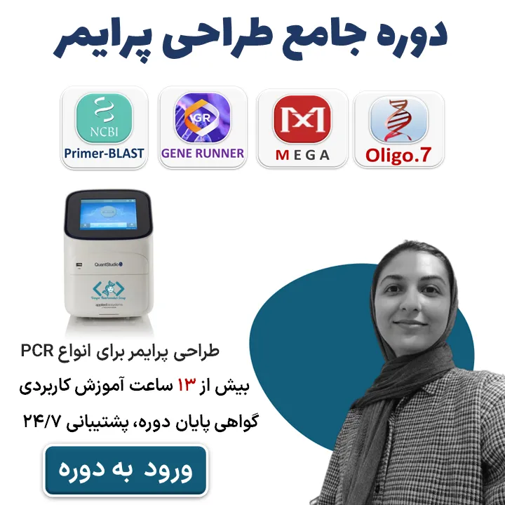 معرفی دوره جامع طراحی پرایمر