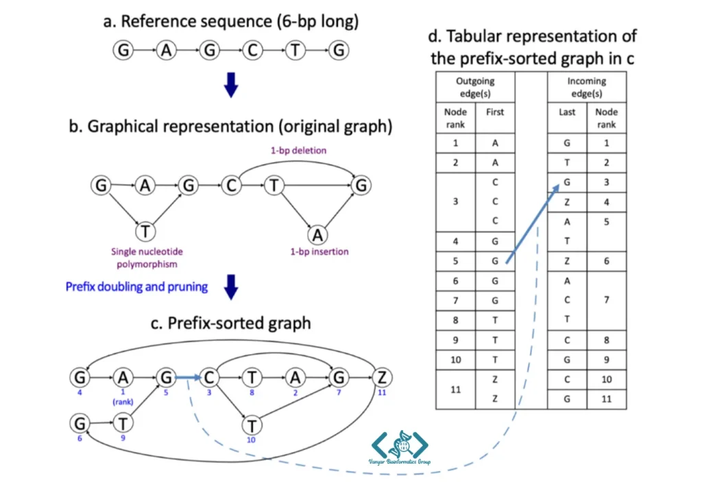 graph Hisat2