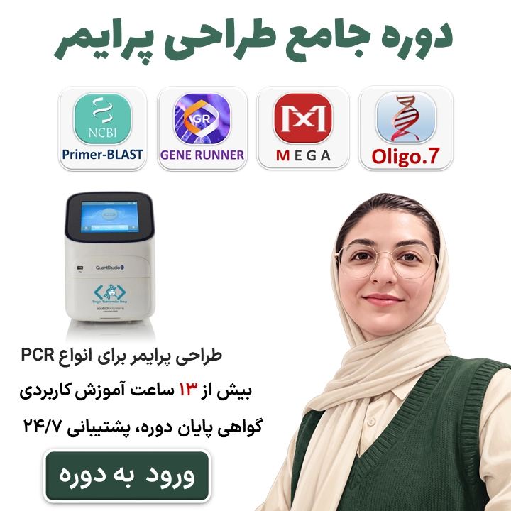 معرفی دوره جامع طراحی پرایمر