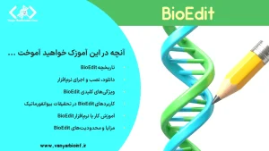BioEdit