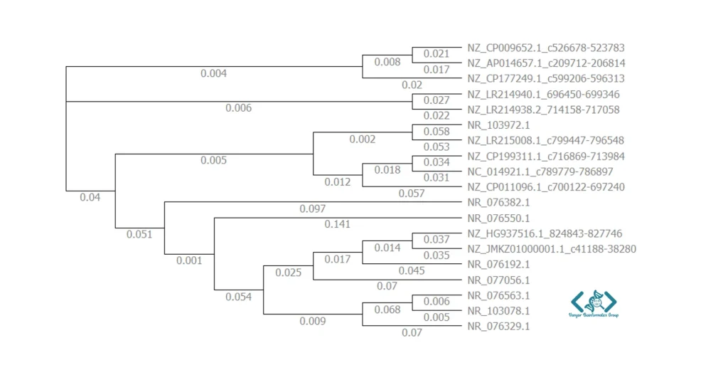 ClustalX tree