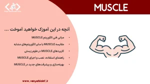 MUSCLE