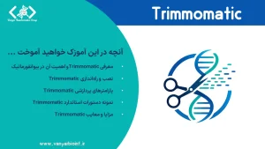 Trimmomatic software