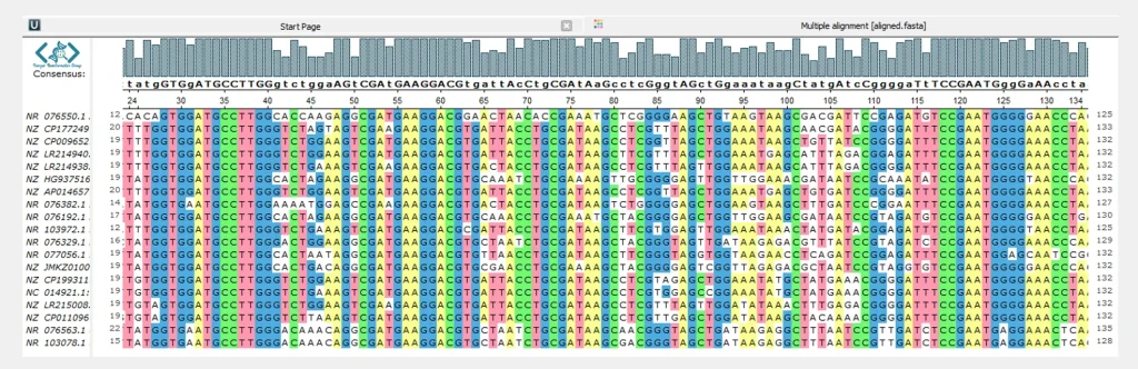 MAFFT result MSA
