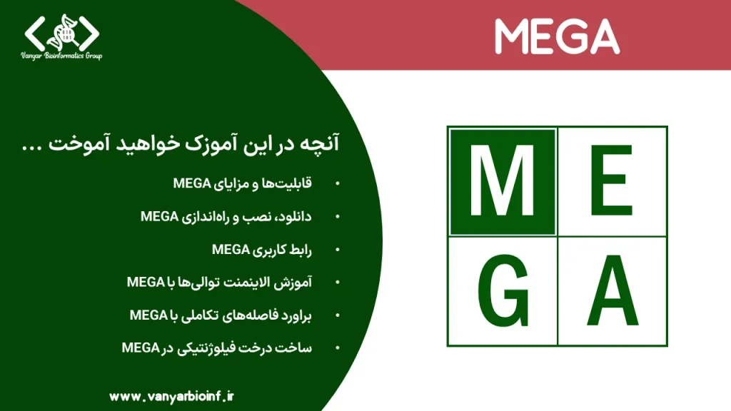 MEGA - Molecular Evolutionary Genetics Analysis