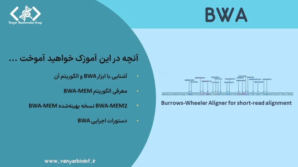 BWA algorithm