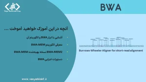 BWA algorithm