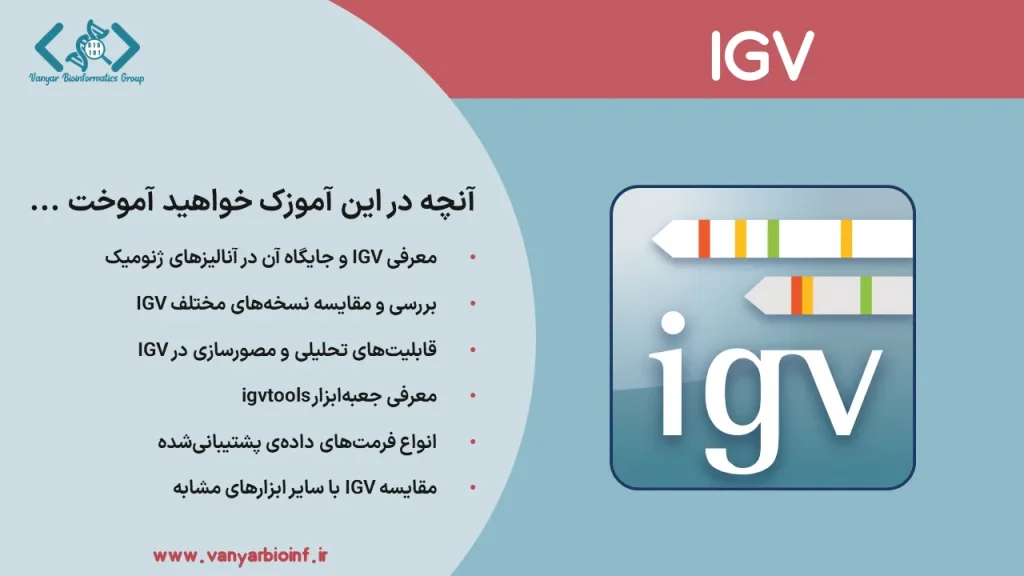 آموزش نرم افزار IGV در بیوانفورماتیک و آنالیز داده های ژنومیک