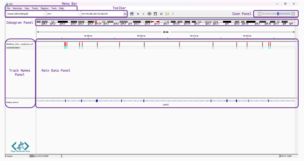 IGV main window
